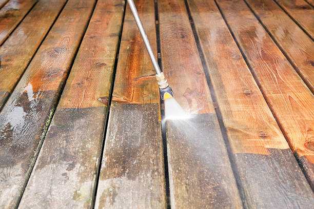 Best Solar Panel Cleaning  in Bithlo, FL